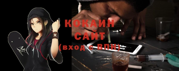 ALPHA PVP Богородицк