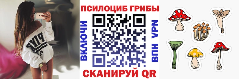 Галлюциногенные грибы Psilocybine cubensis Купить Апшеронск